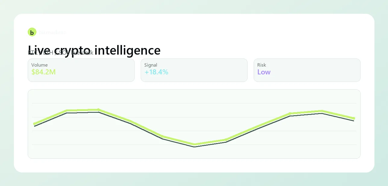VelocityFinance case study dashboard showing financial reporting interface